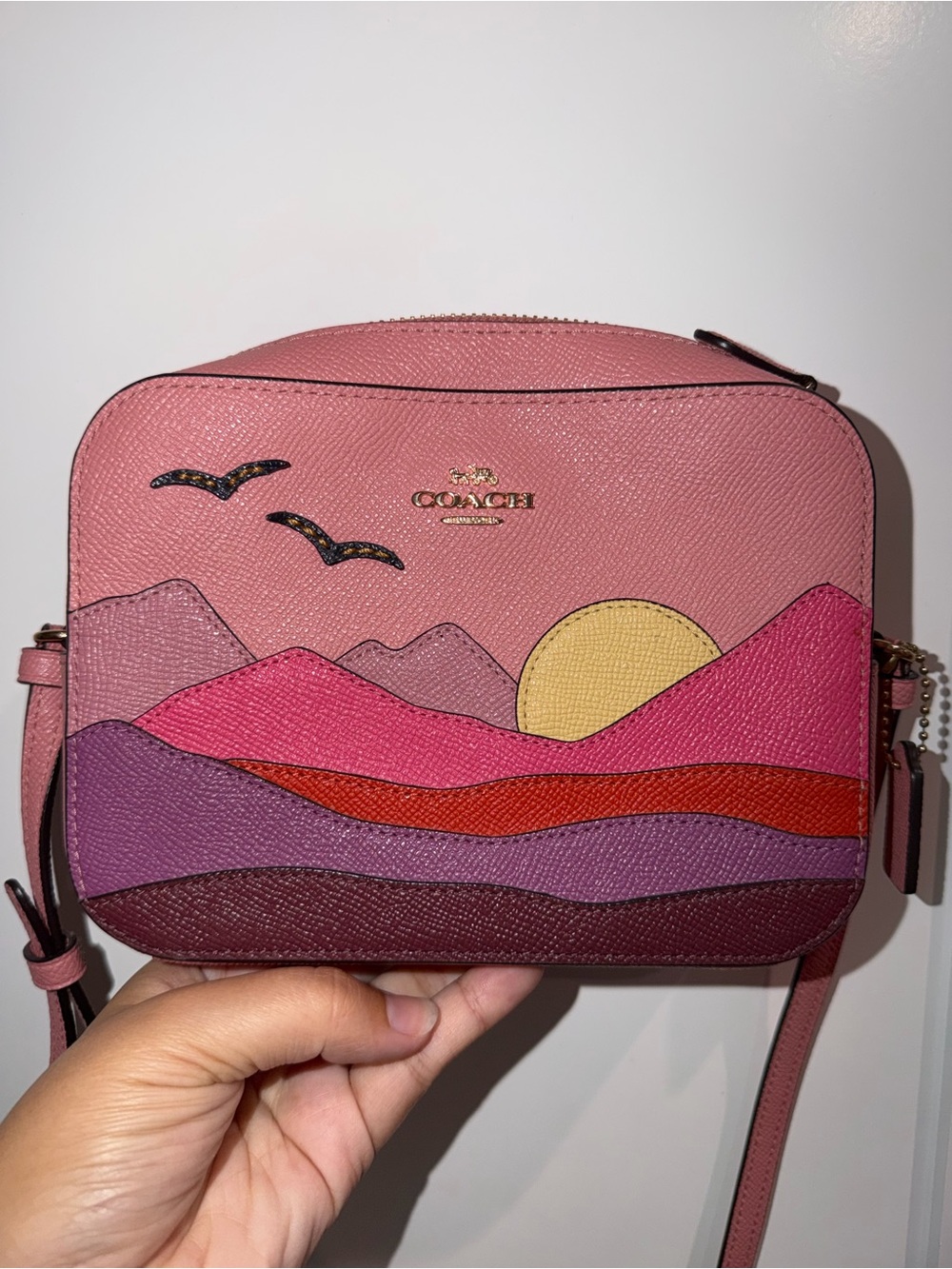 Coach Pink Sunset Appliqué Leather Crossbody